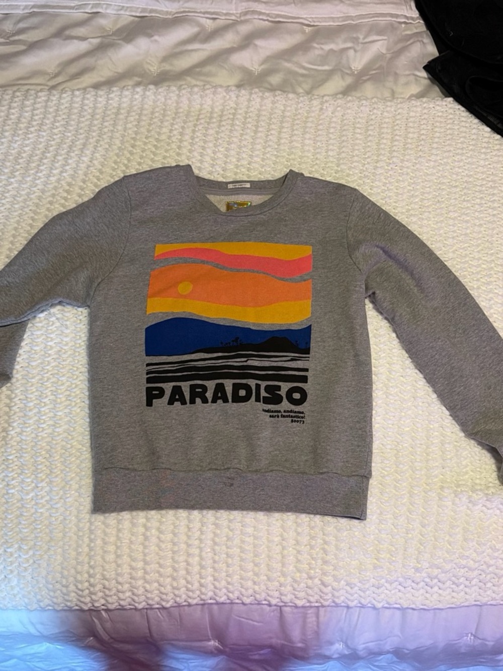 MOTHER Gray Paradiso Graphic Crewneck with Sunset Print